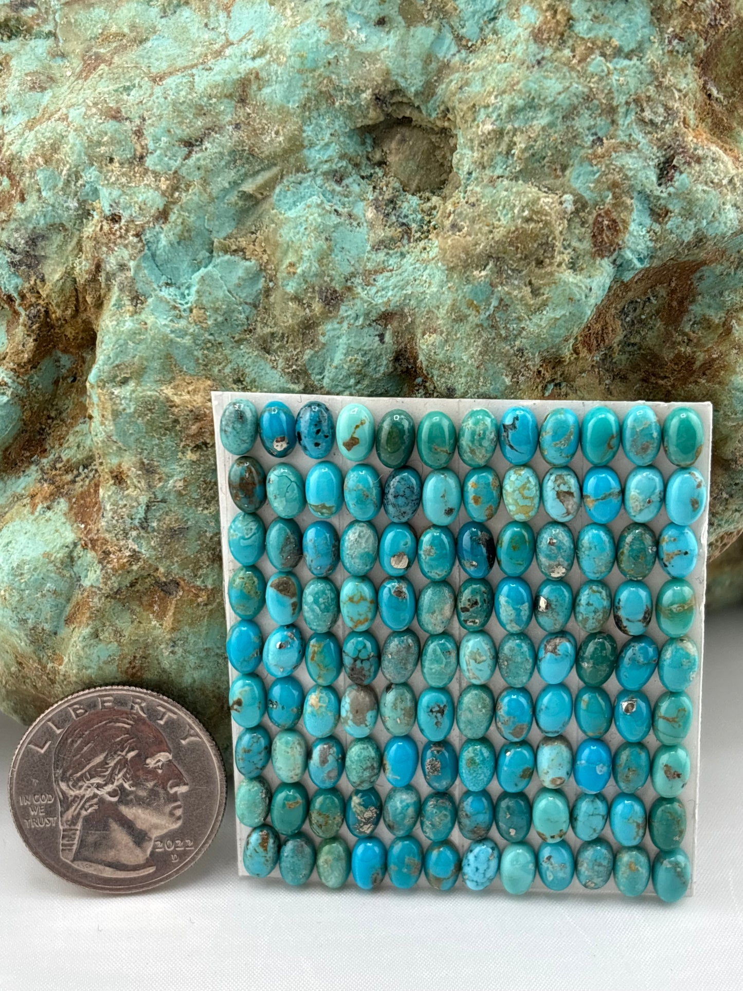 4x6 Oval Calibrated Cabs