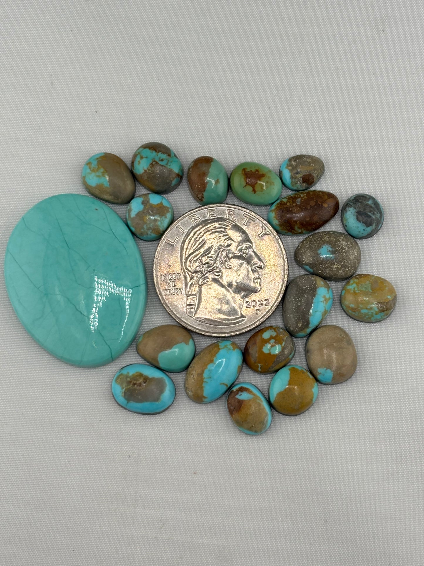 Sonoran turquoise Bargain Bag 7