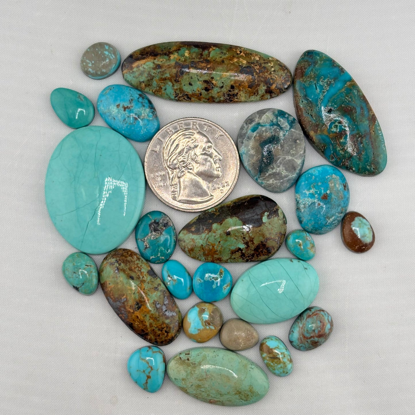 Sonoran turquoise Bargain Bag 10
