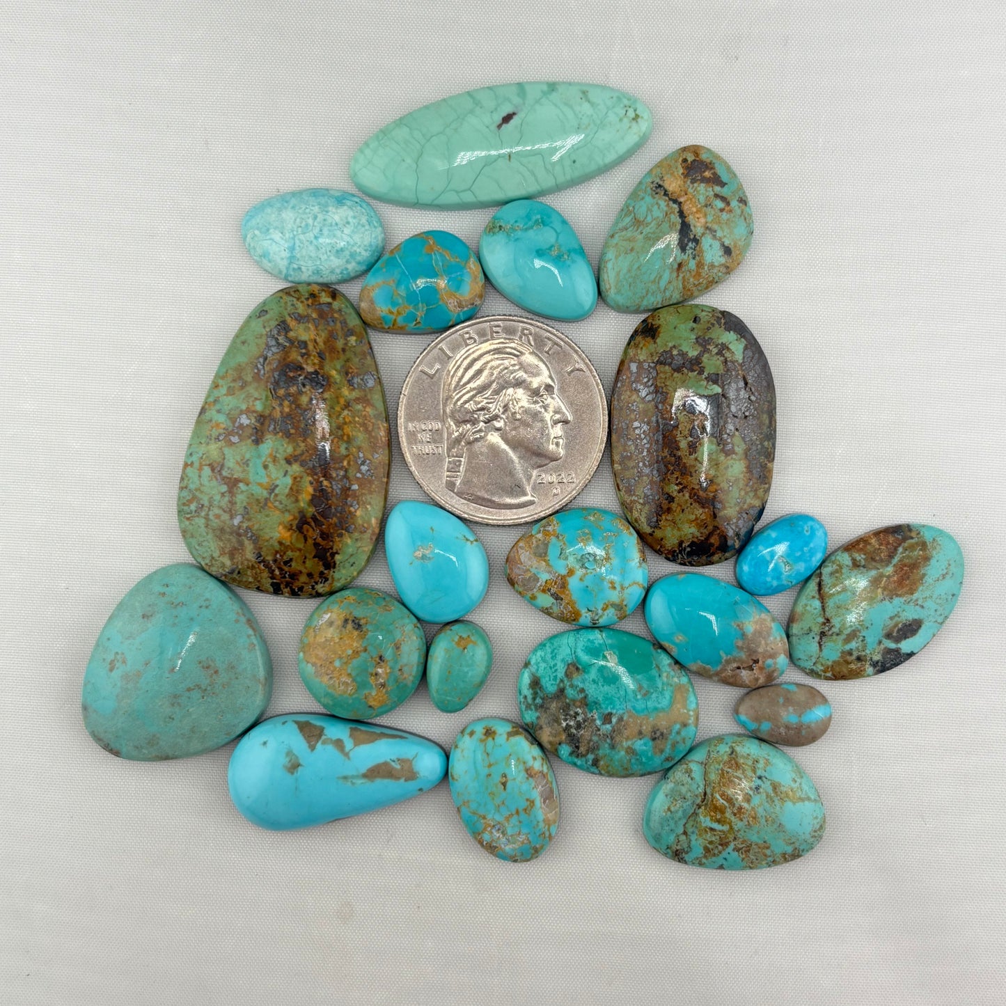 Sonoran turquoise Bargain Bag 12