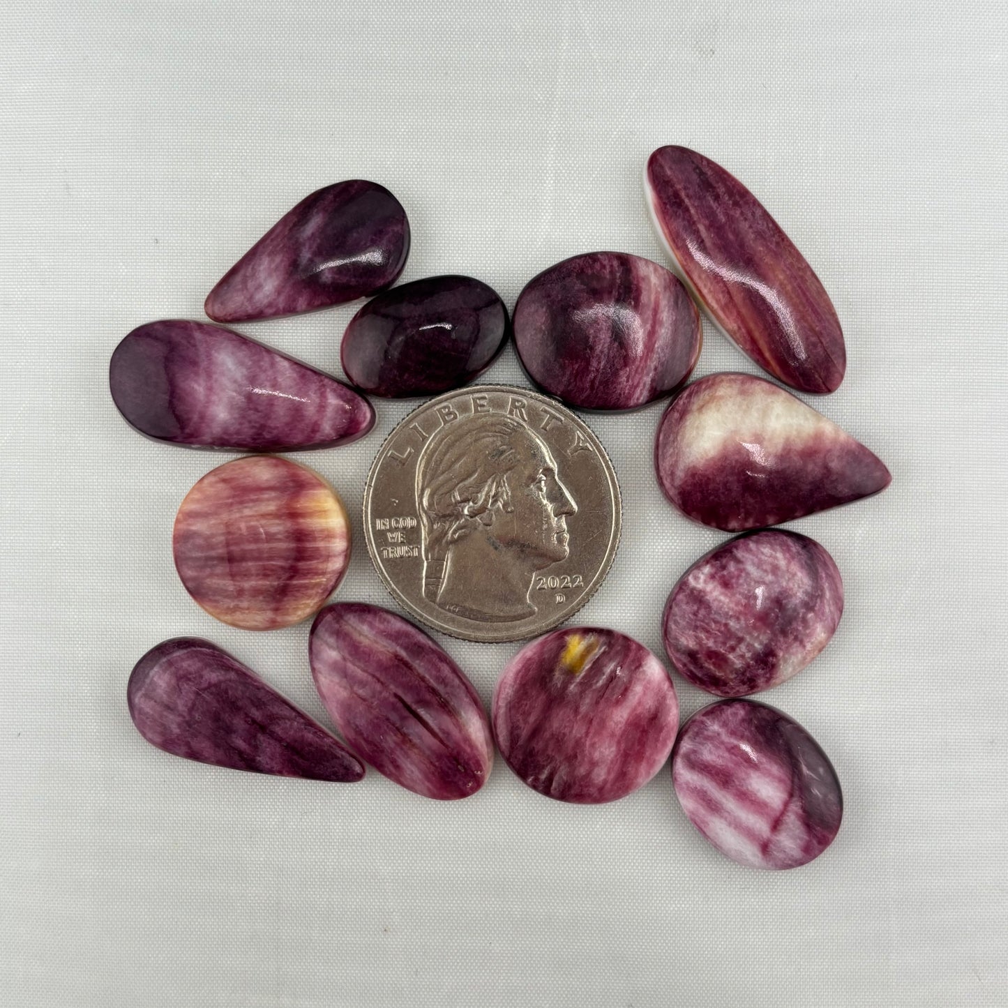 Purple Spiny Bargain Bag 4