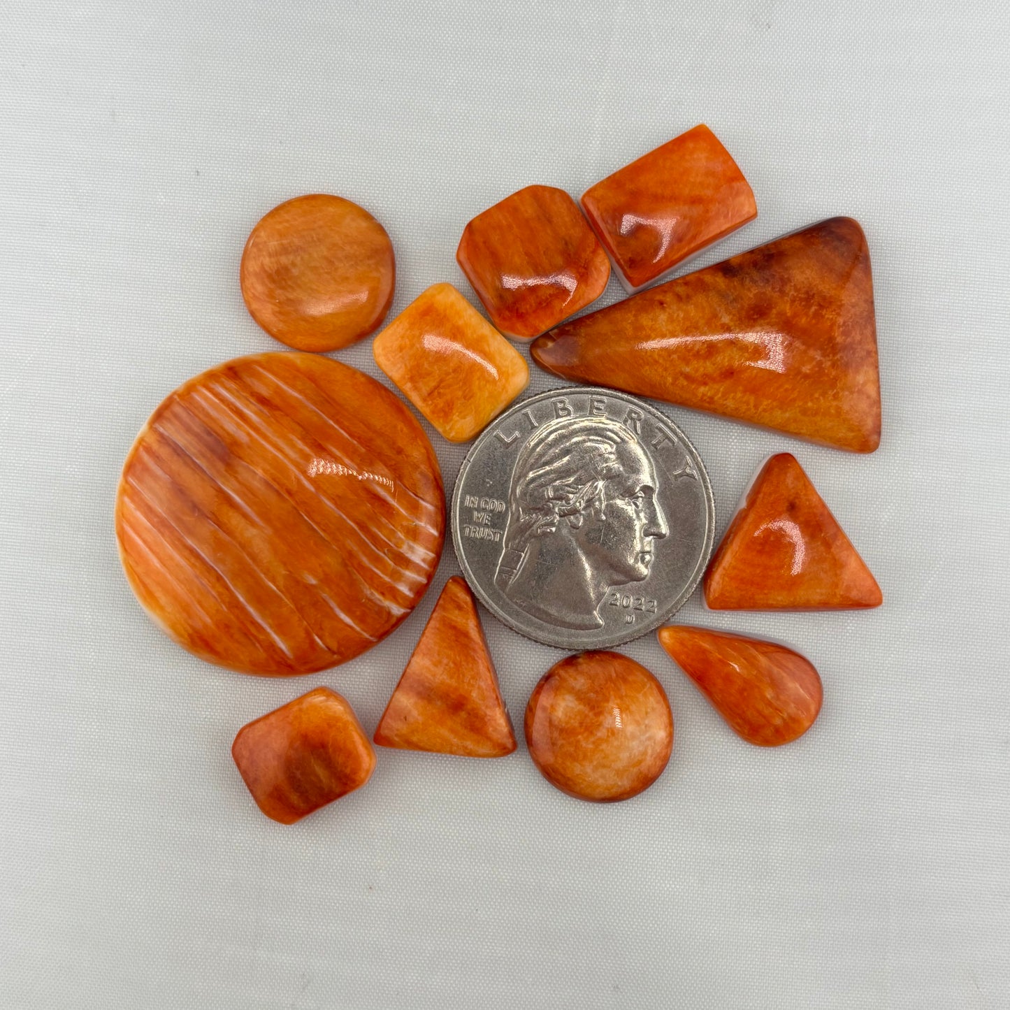 Orange Spiny Bargain Bag 1