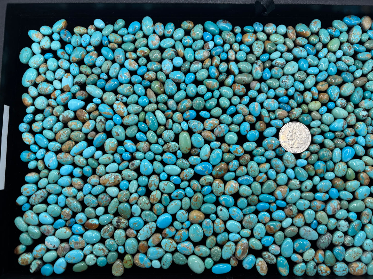 Tray Of Freeform