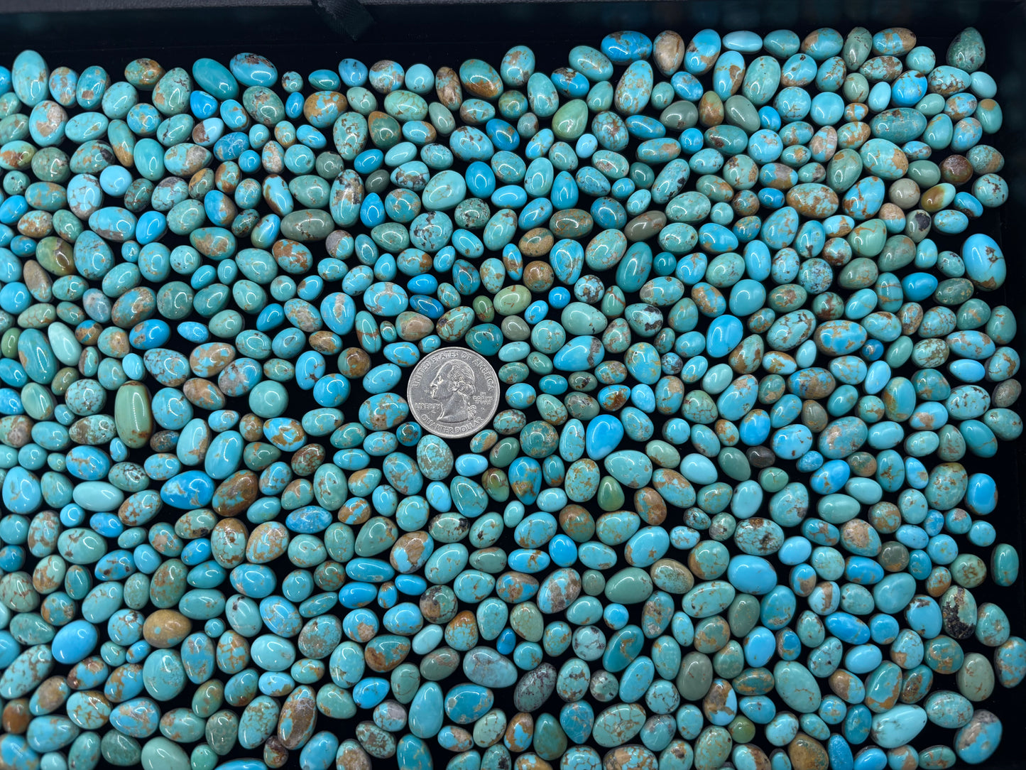 Tray Of Freeform