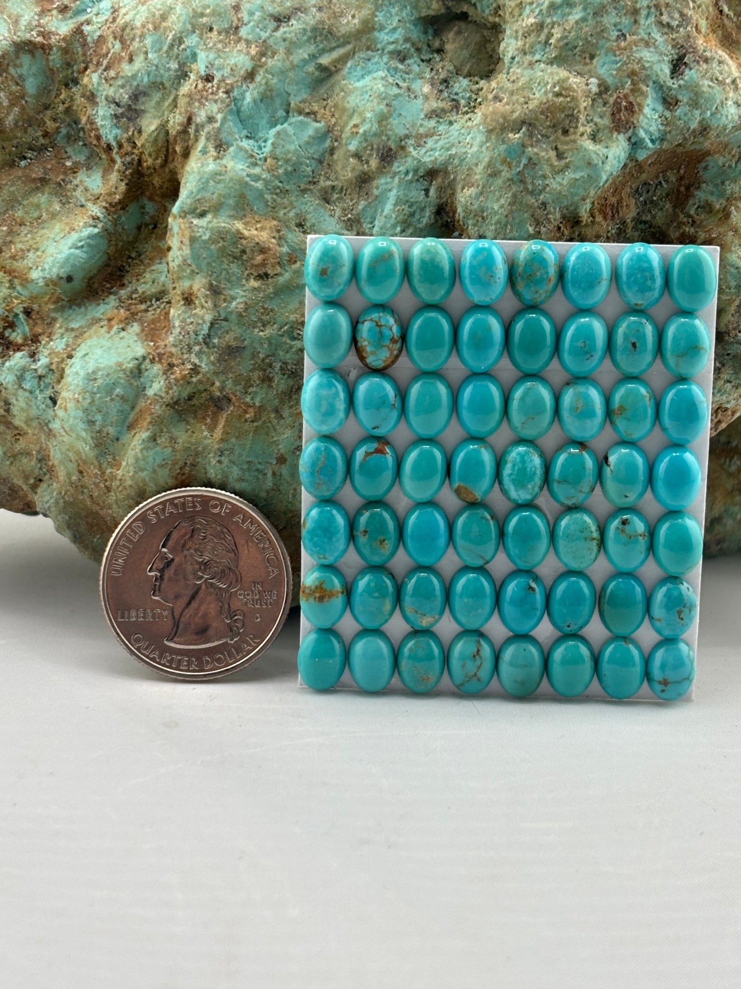 6x8 Oval Calibrated Cabs