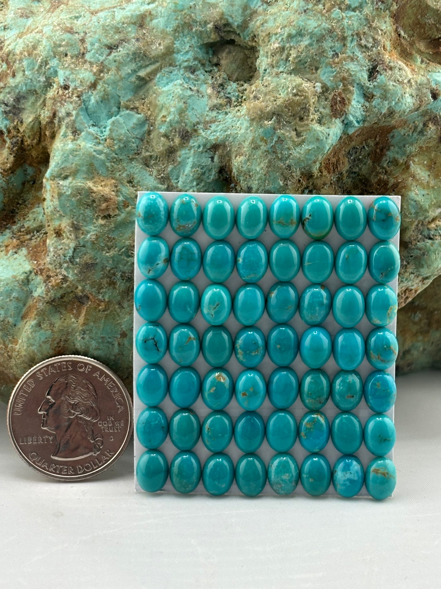 6x8 Oval Calibrated Cabs