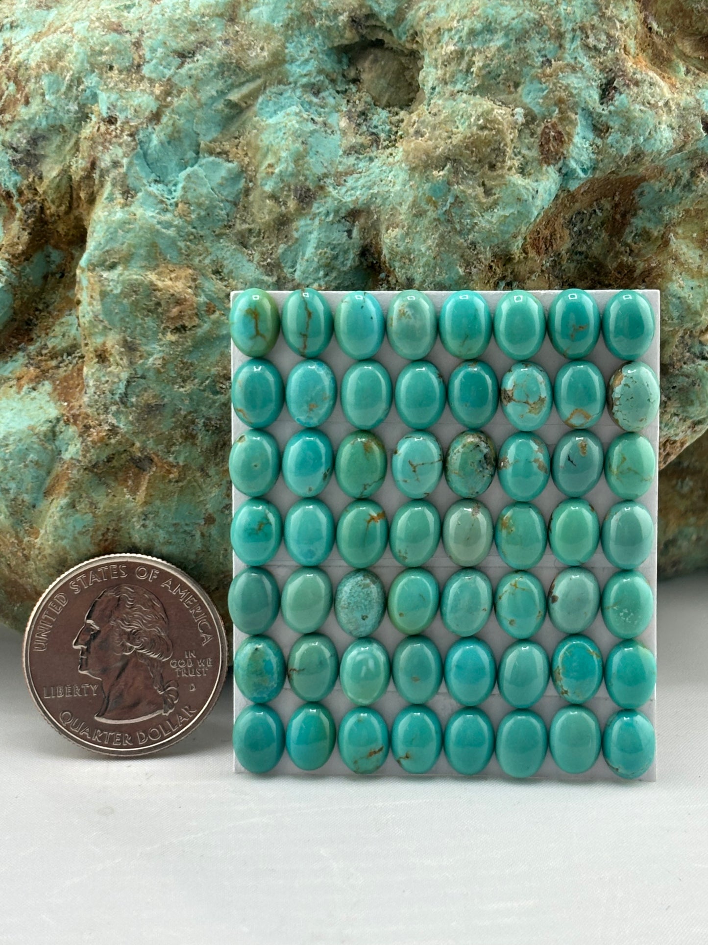 6x8 Oval calibrated Cabs
