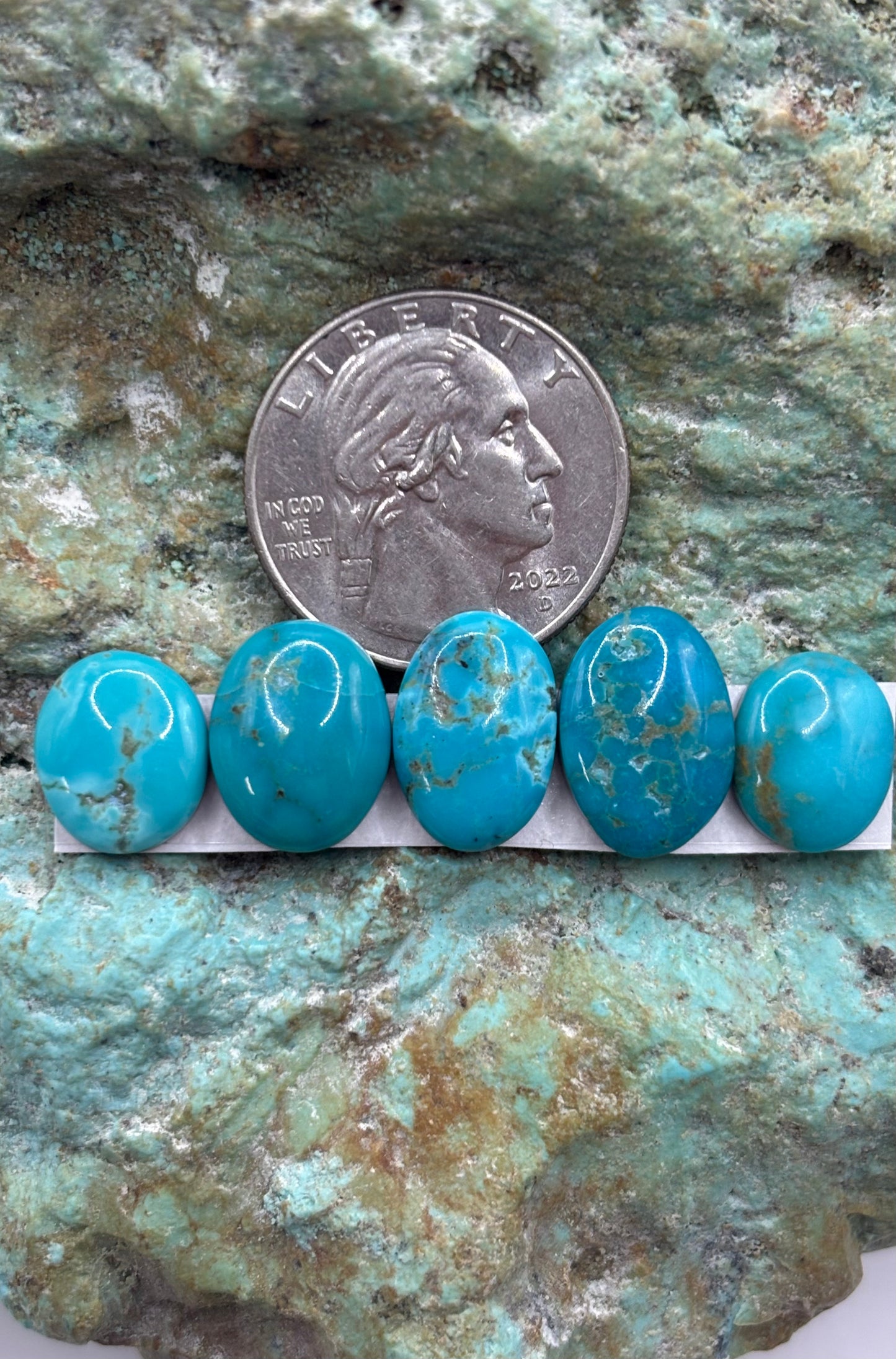 Freeform Cabochons 319