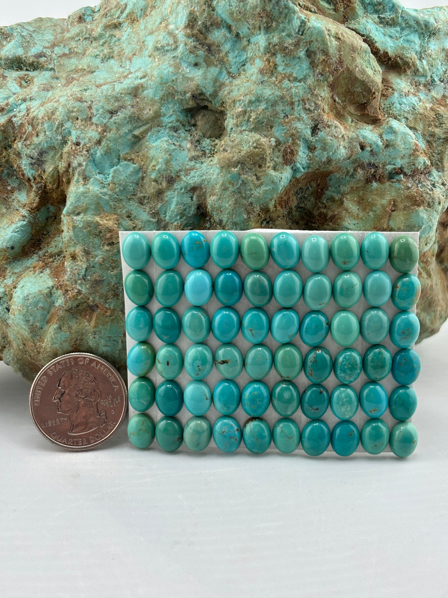 7x9 Oval Calibrated Cabs