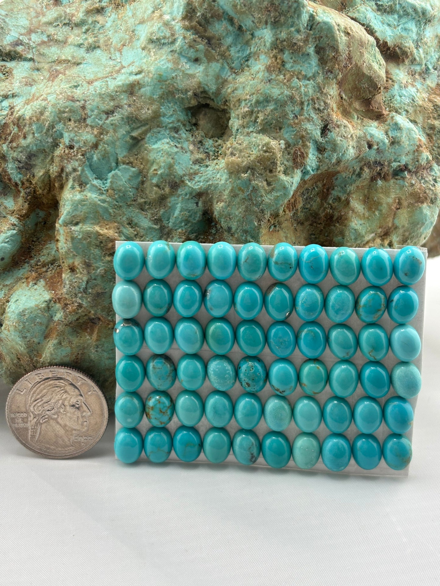7x9 Oval Calibrated Cabs