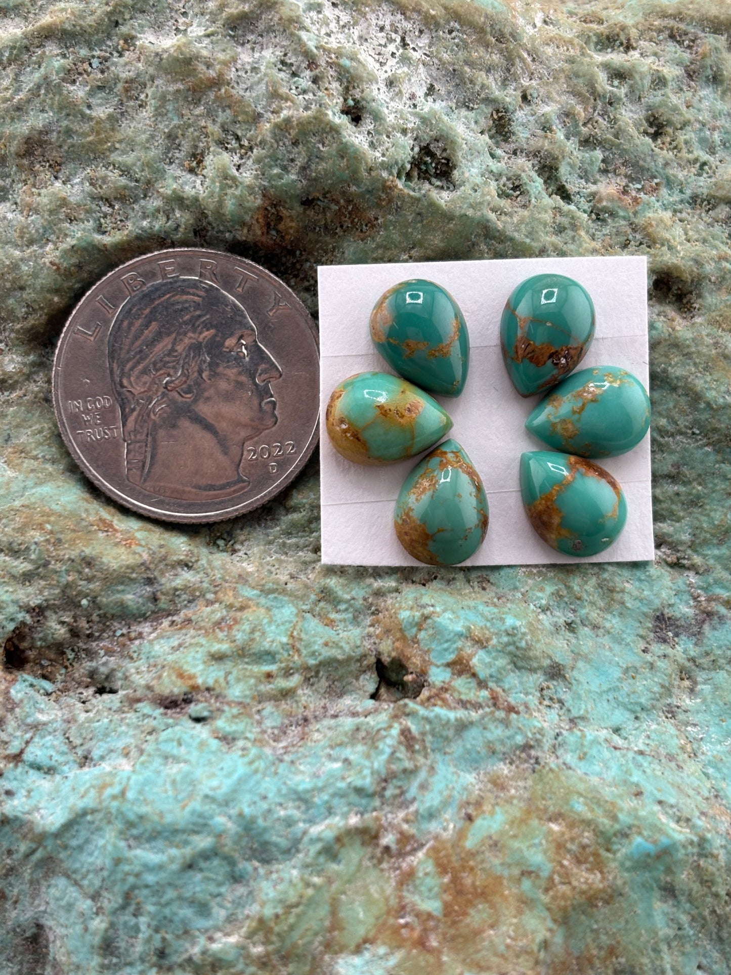 Petals 4 Calibrated Cab Set