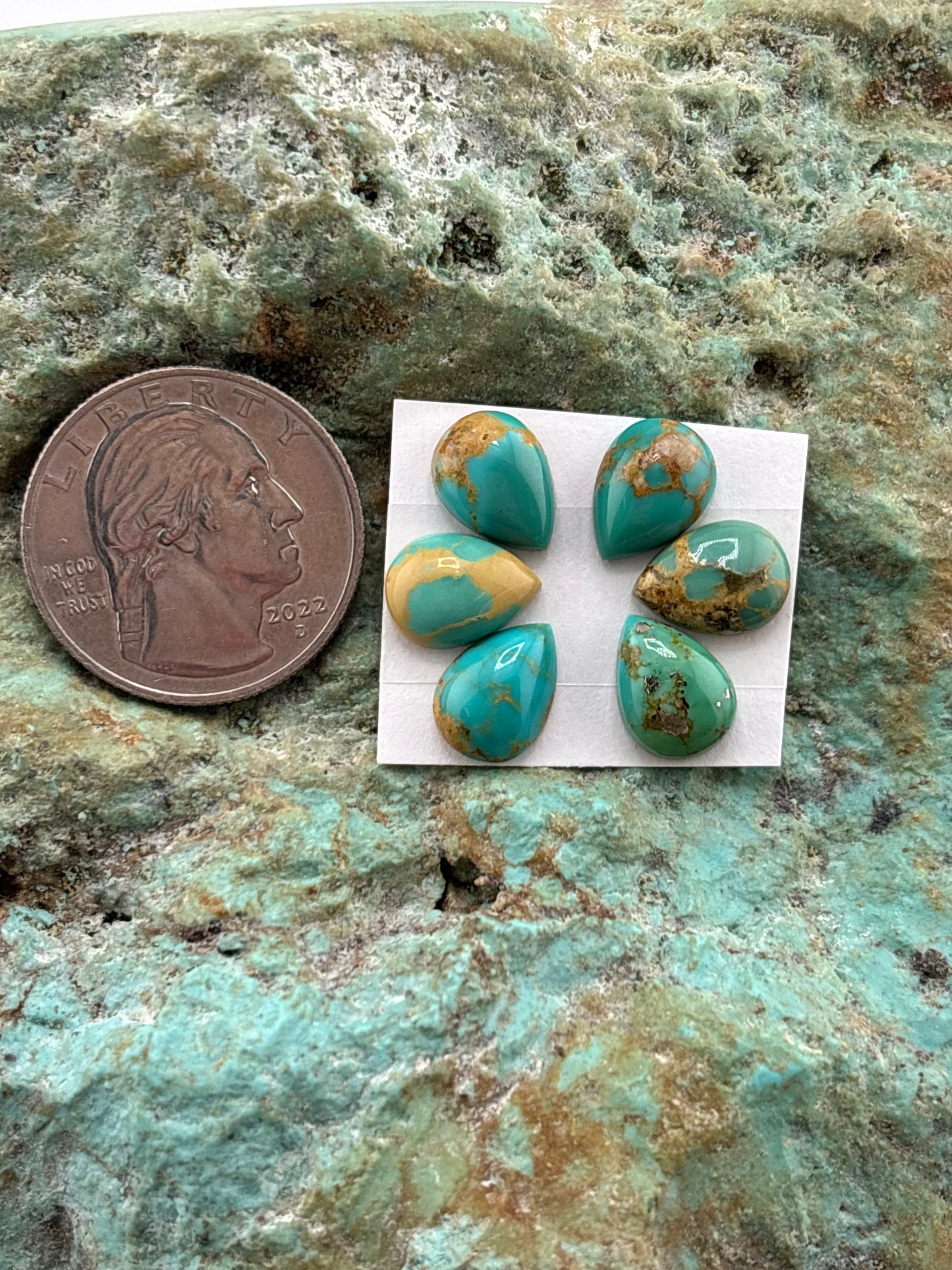 Petals 6 Calibrated Cab Set