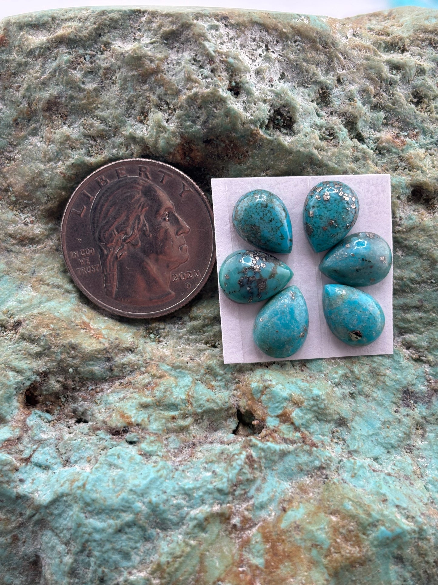Petals 13 Calibrated Cab Set