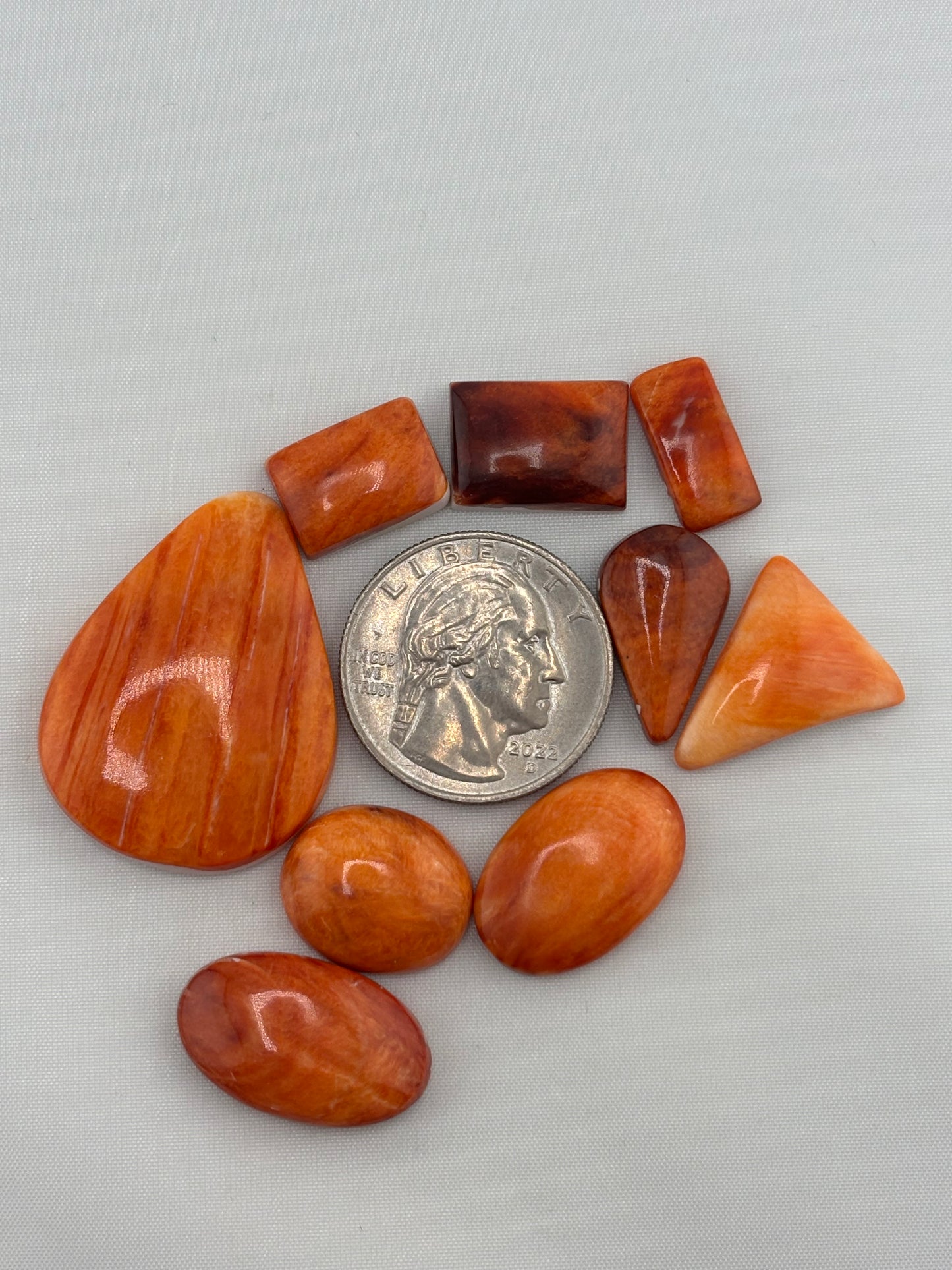 Orange Spiny Bargain Bag 4