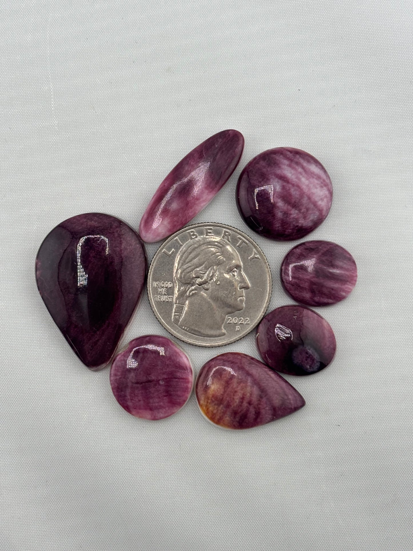 Purple Spiny Bargain Bag 4