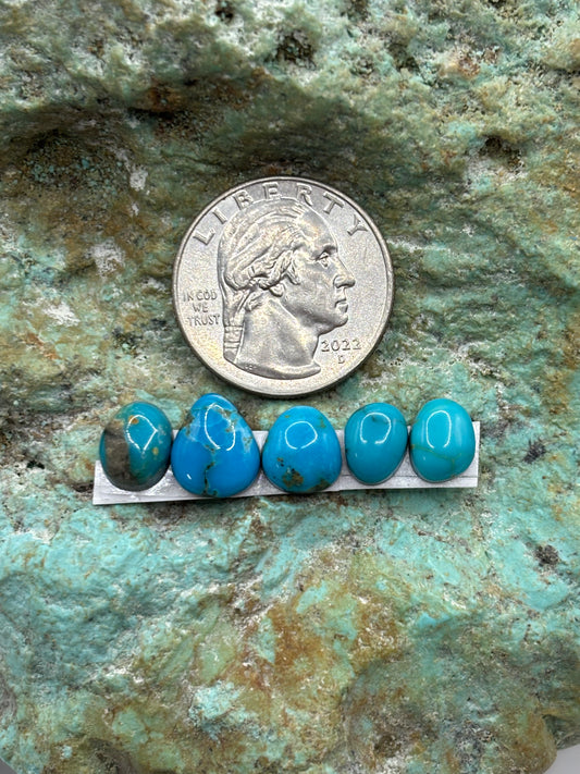 Freeform Cabochons 355