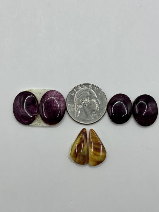 Purple Spiny Bargain Bag 2