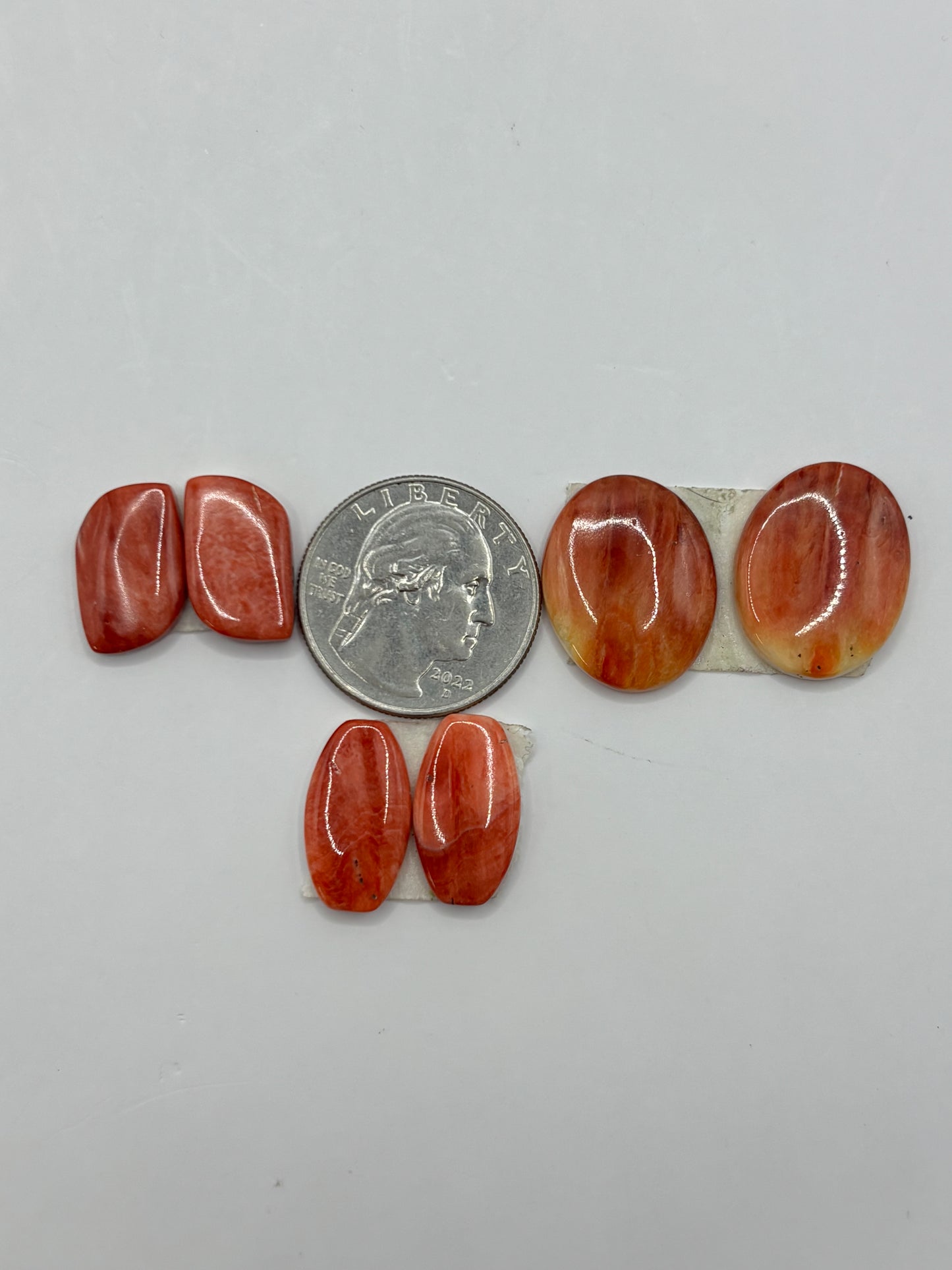 Red Spiny Bargain bag 3