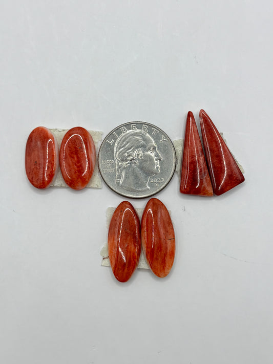 Red Spiny Bargain Bag 6