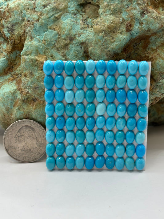 5x7 Oval Calibrated Cabs