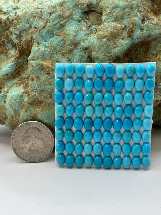 5x7 Oval Calibrated Cabs