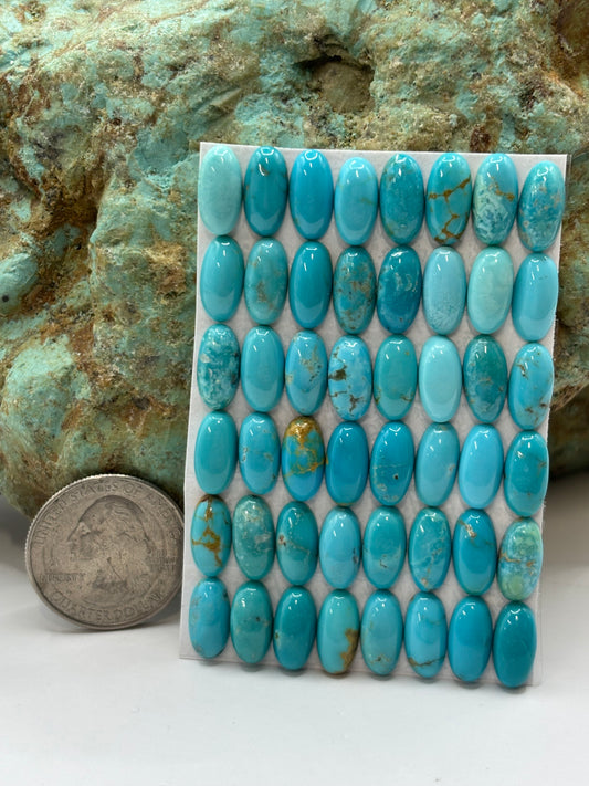 6x12 Oval Calibrated Cabs