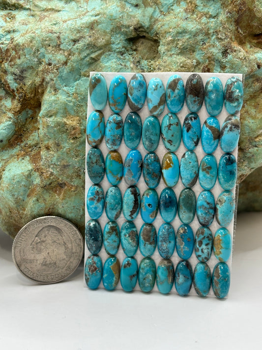 6x12 Oval Calibrated Cabs