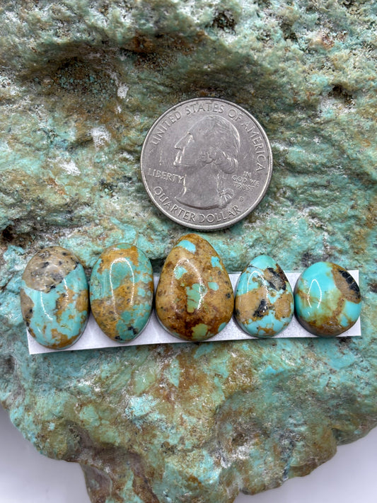 Freeform Cabochons 388