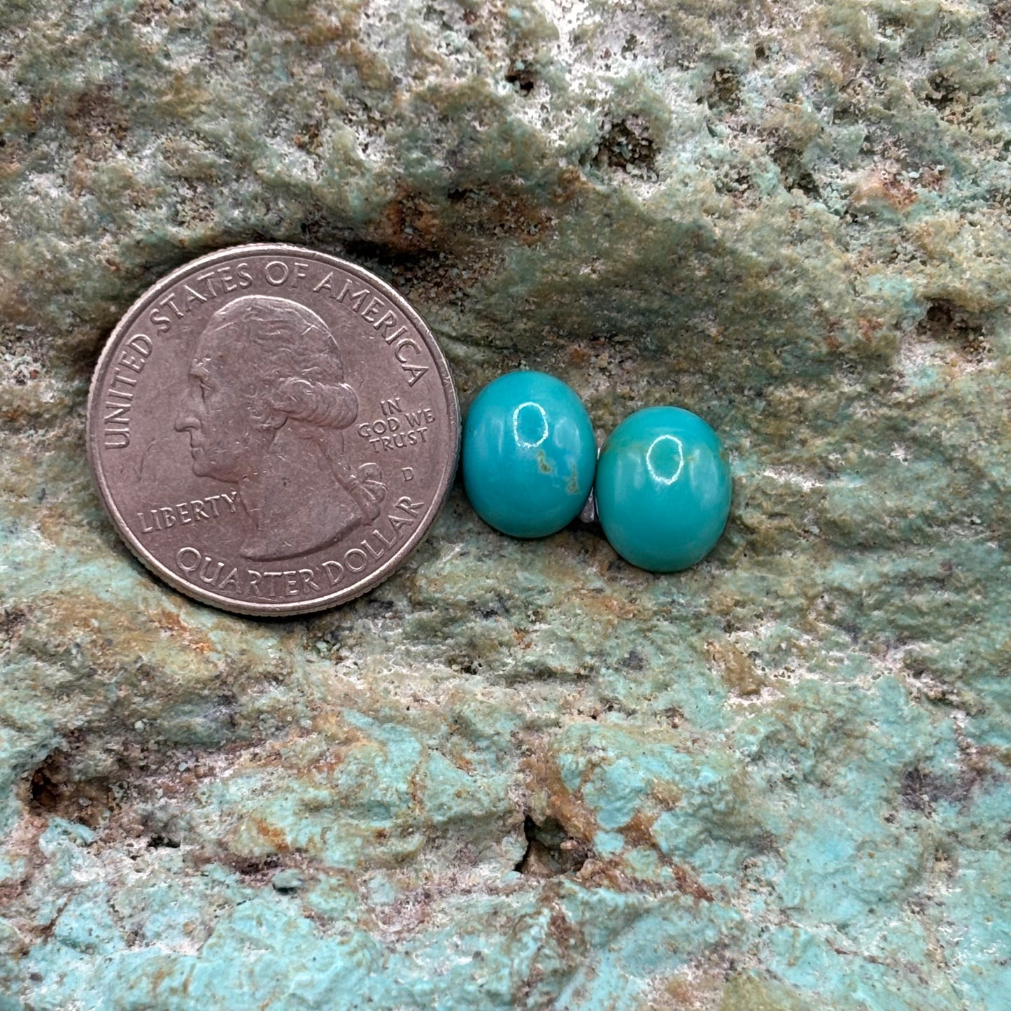 Earring Set 446
