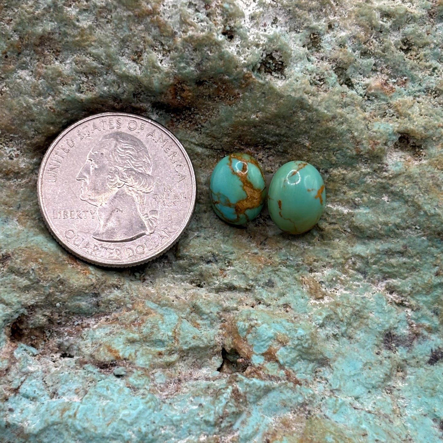 Earring Set 447