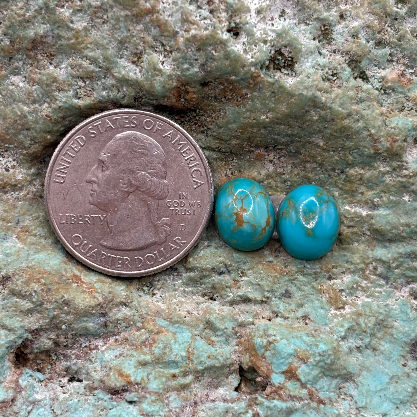 Earring Set 448