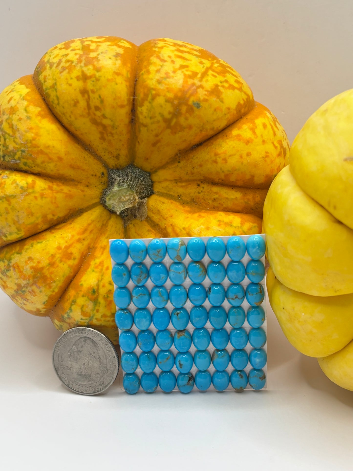 6x8 Oval Calibrated Cabs