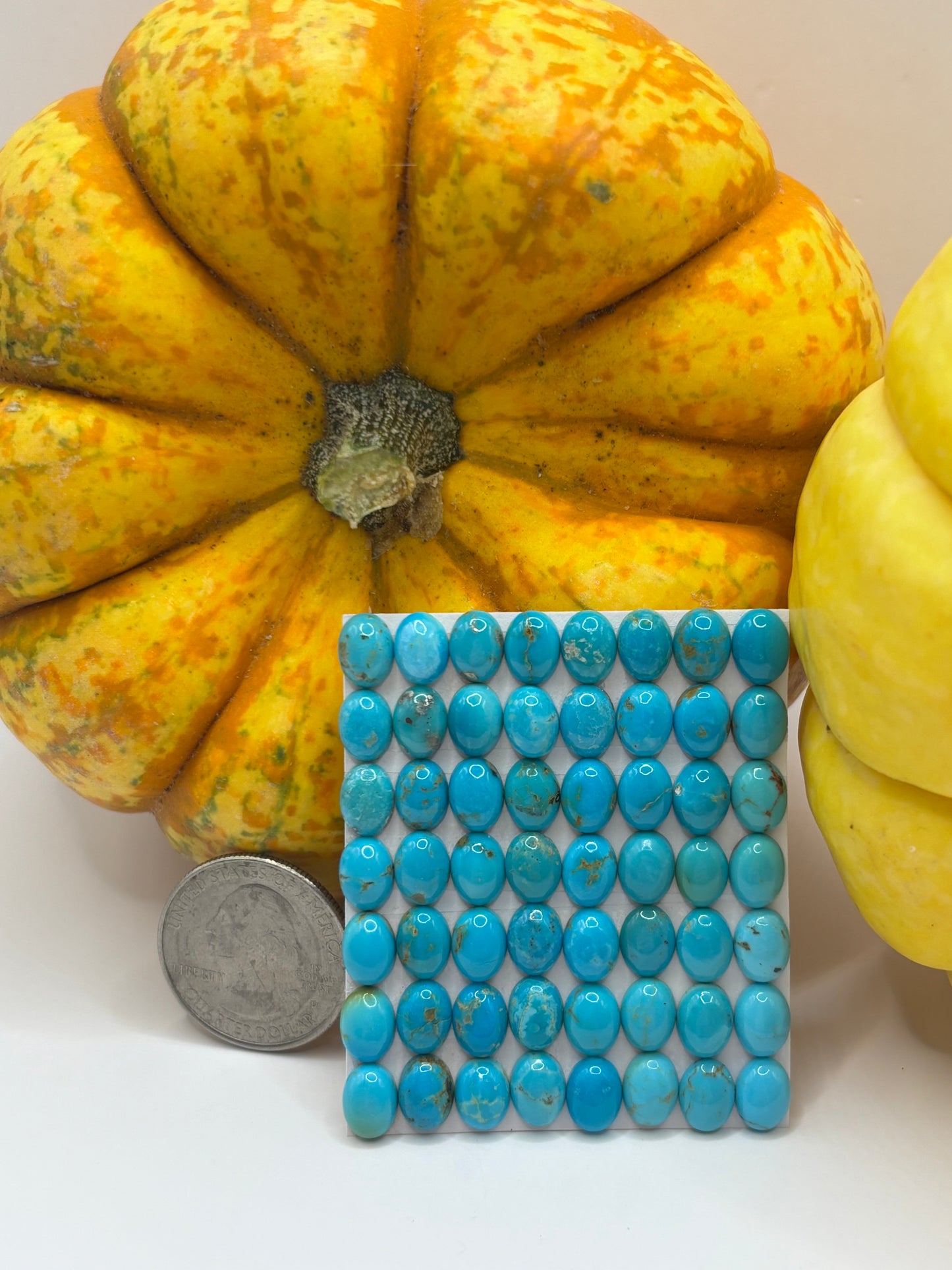 6x8 Oval Calibrated Cabs