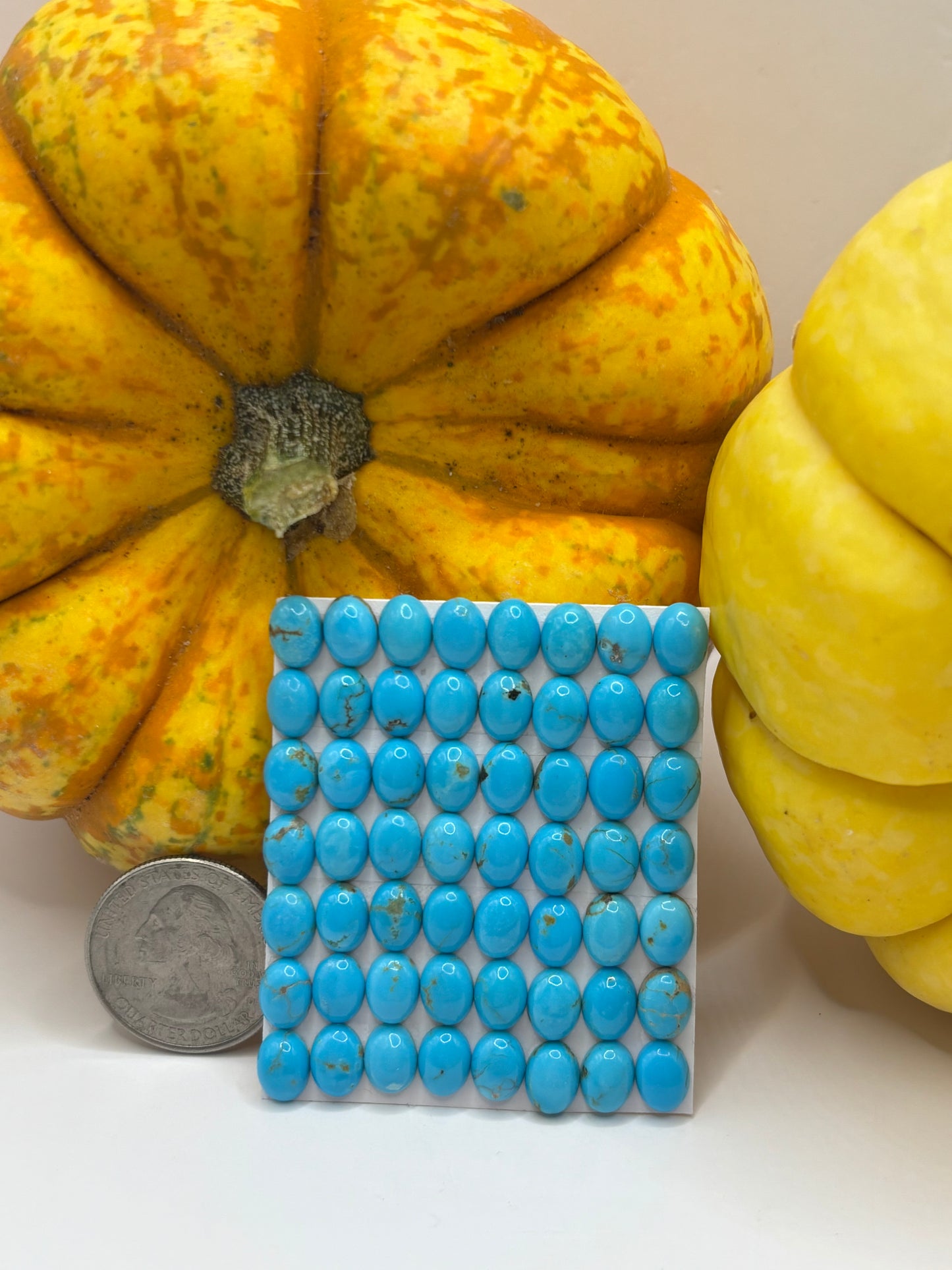 6x8 Oval Calibrated Cabs