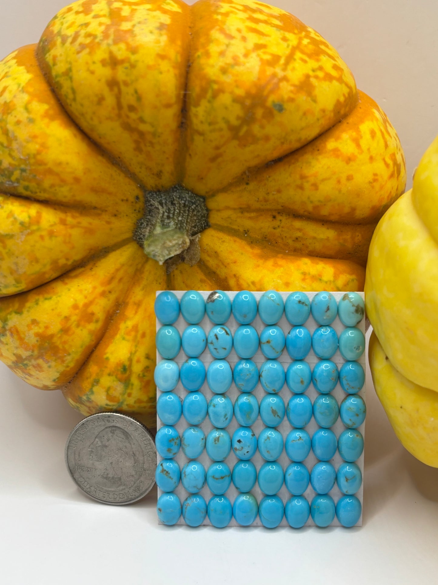 6x8 Oval Calibrated Cabs