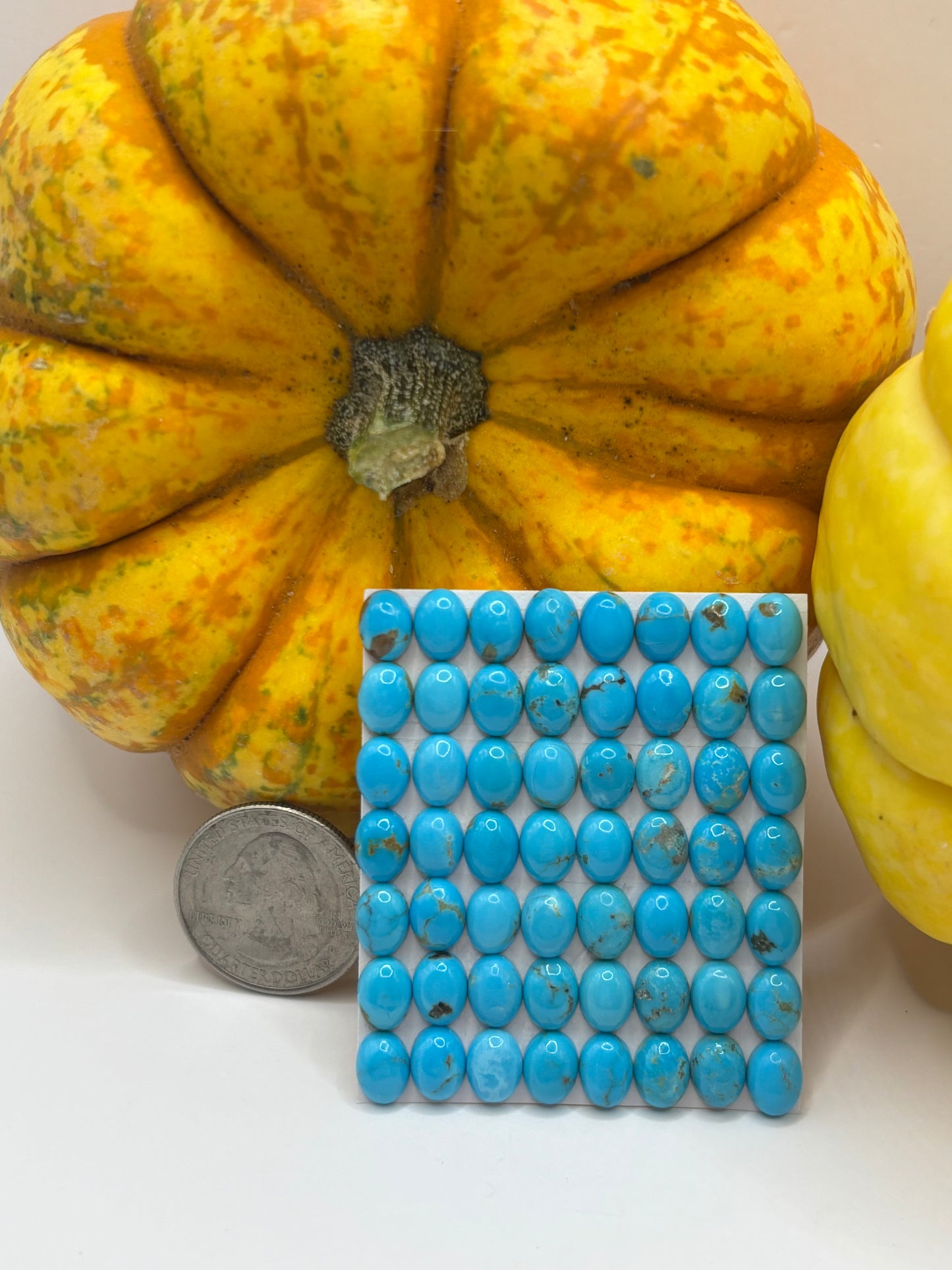 6x8 Oval Calibrated Cabs