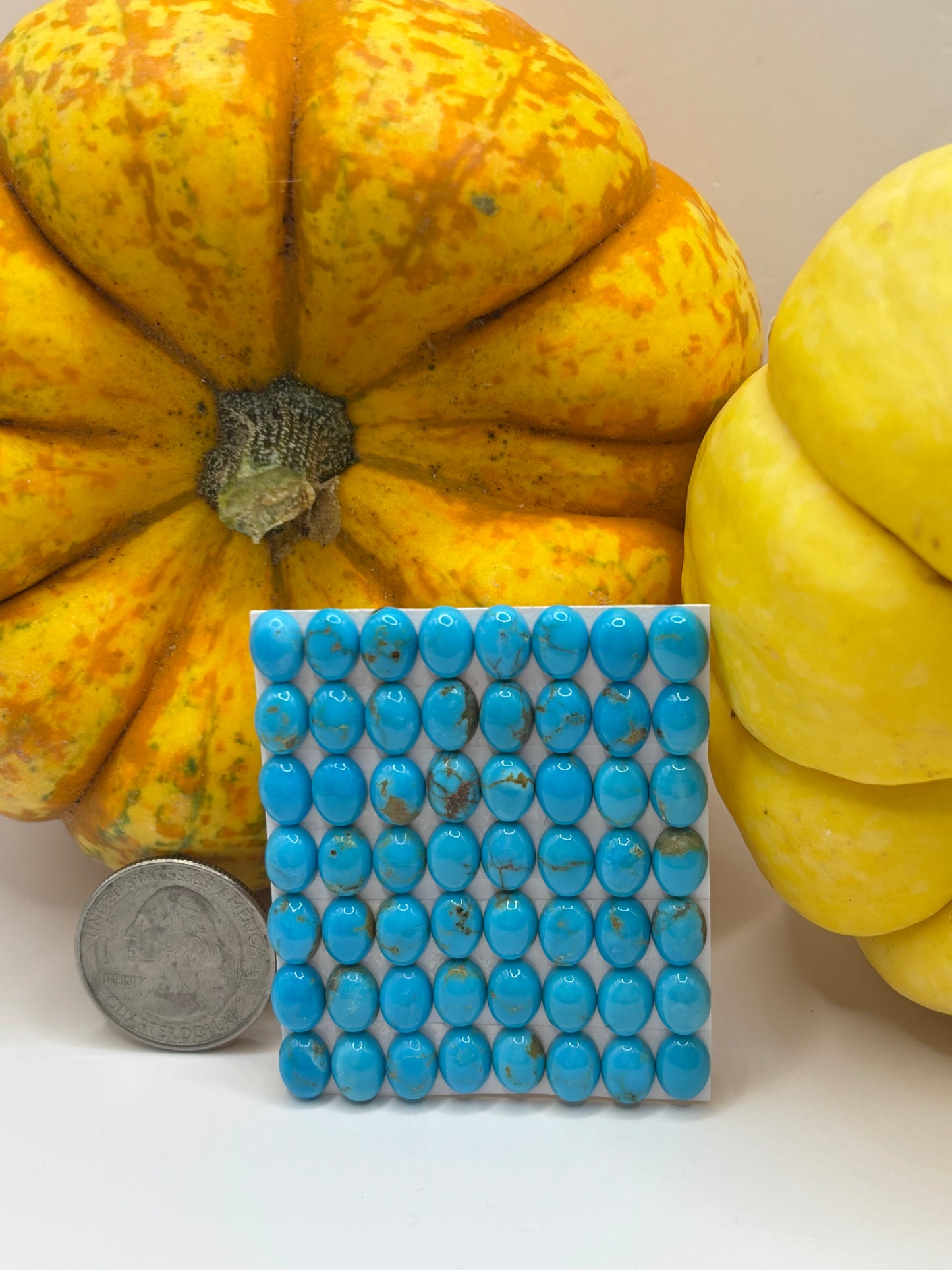 6x8 Oval Calibrated Cabs