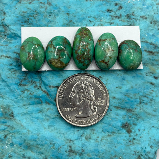 Cielo Freeform Cabochons 36