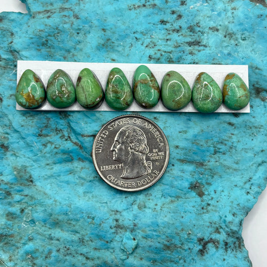 Cielo Freeform Cabochons 47