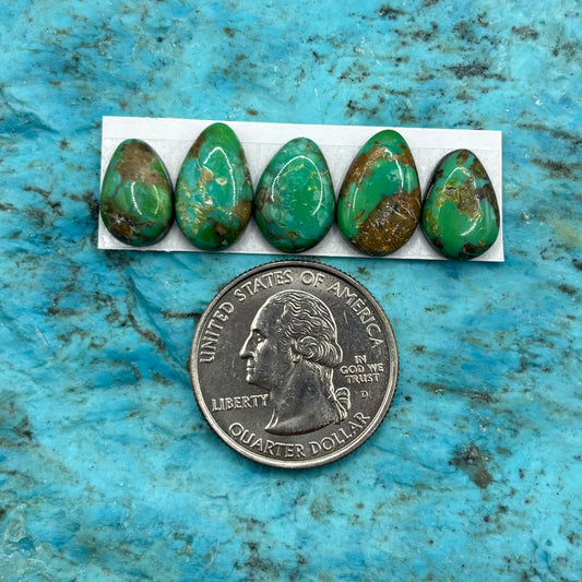 Cielo Freeform Cabochons 50