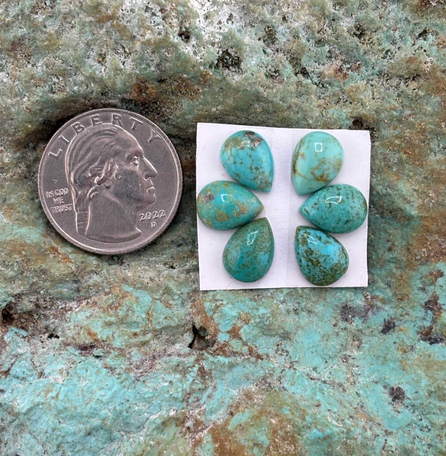 Petals 21 Calibrated Cab Set