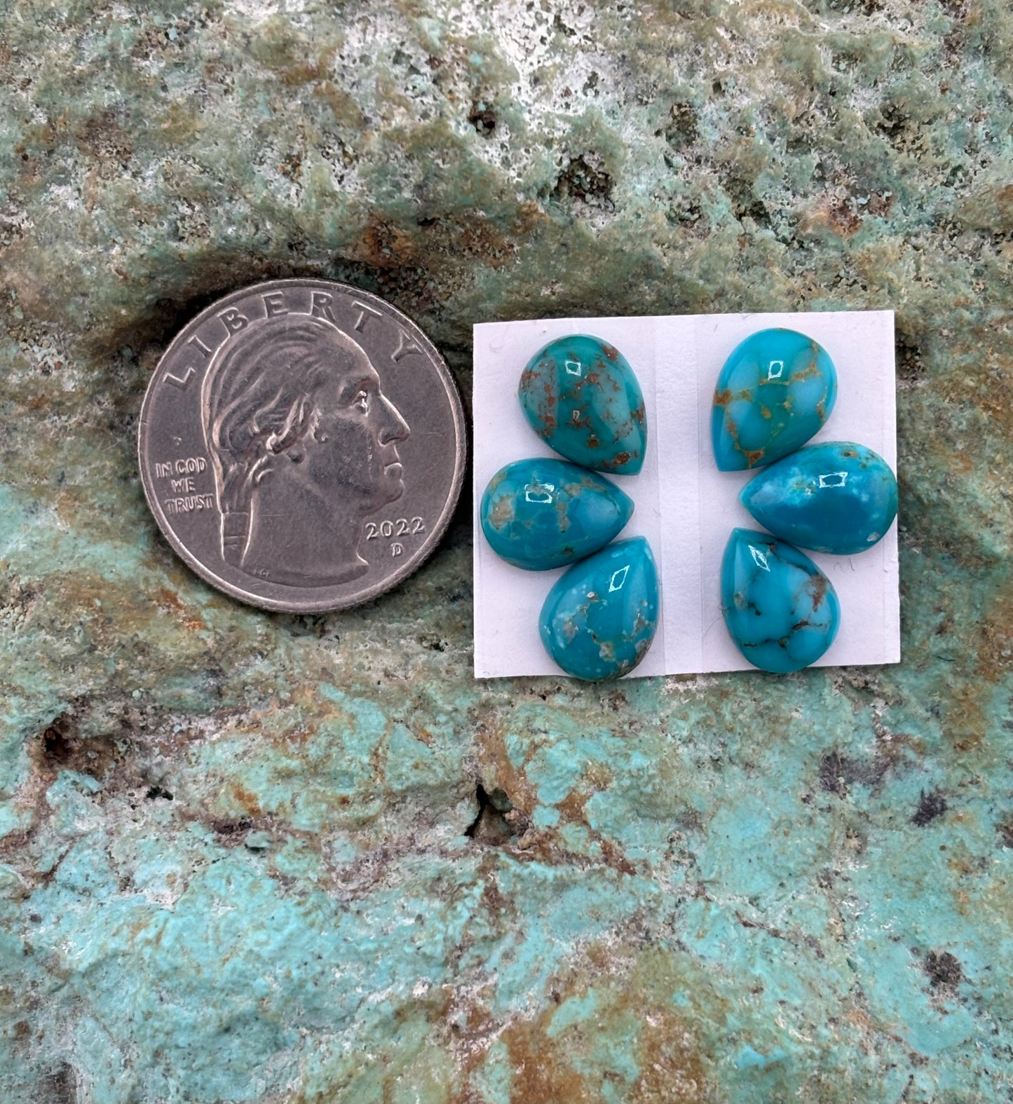 Petals 22 Calibrated Cab Set