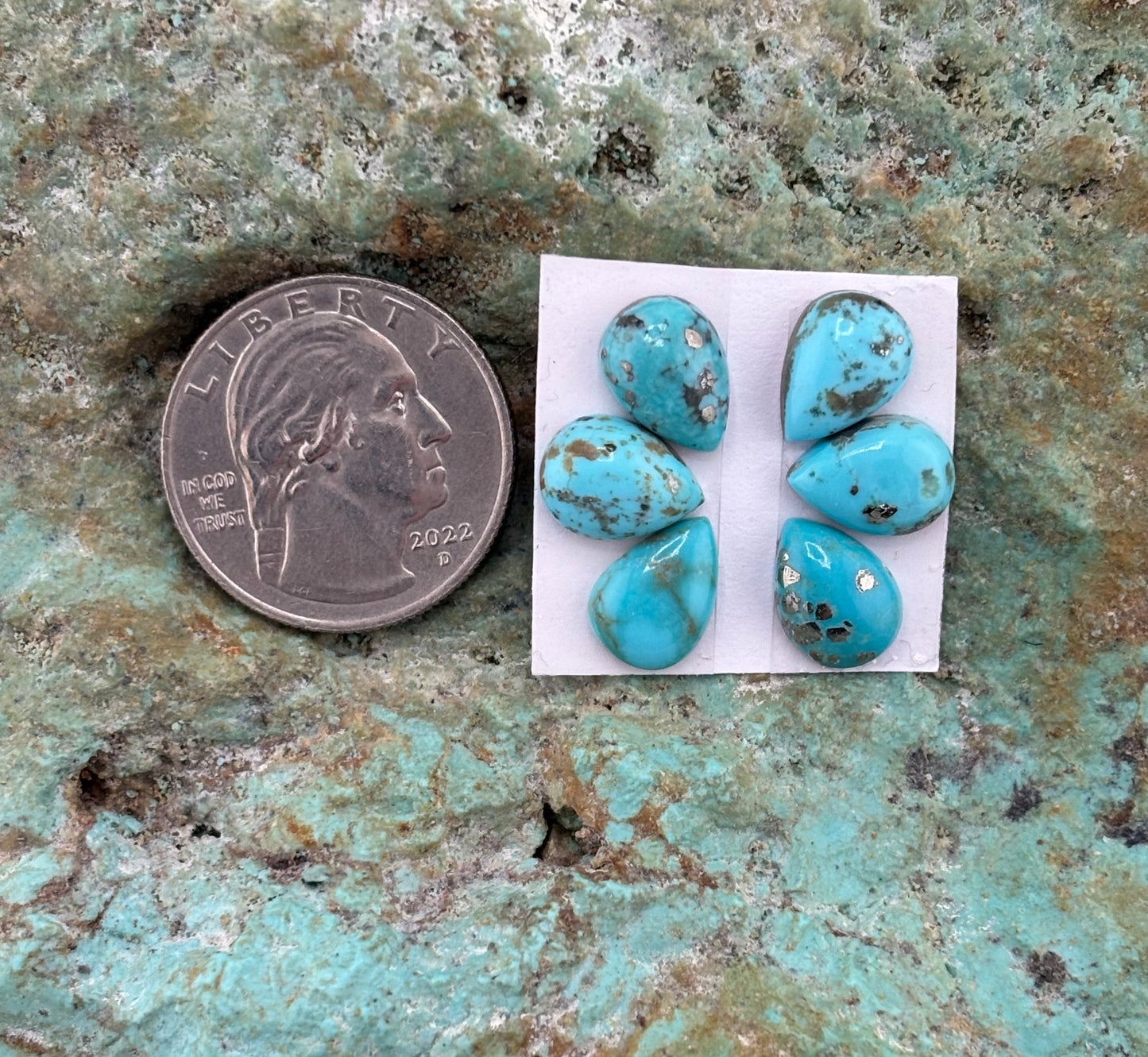 Petals 23 Calibrated Cab Set