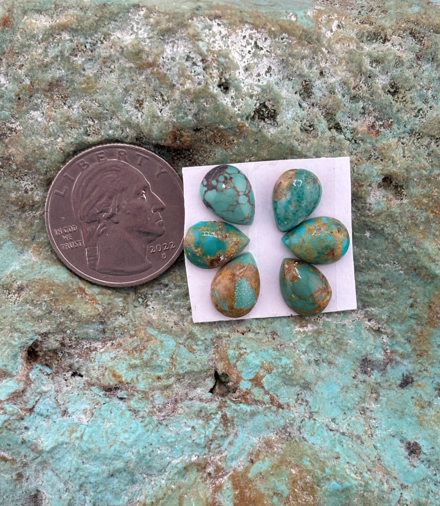 Petals 27 Calibrated Cab Set