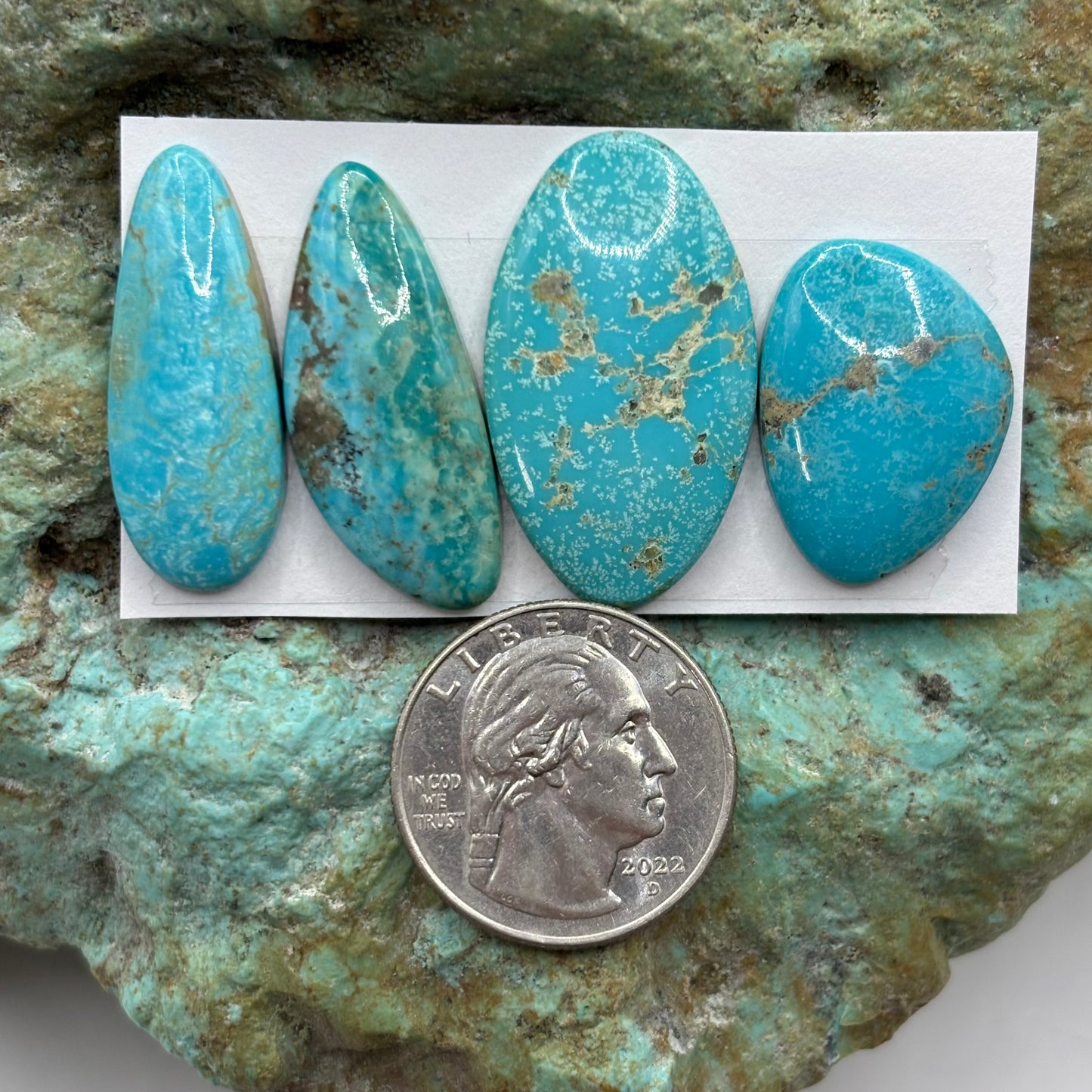 Freeform Cabochons 463