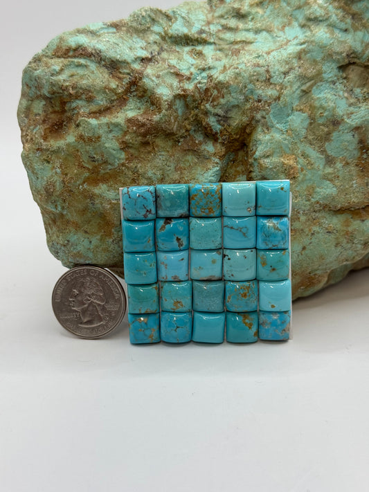 10mm Square Calibrated Cabs
