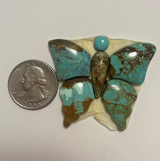 Butterfly Set 22