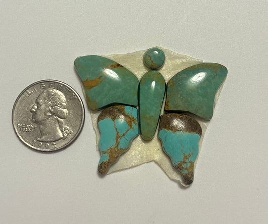 Butterfly Set 18