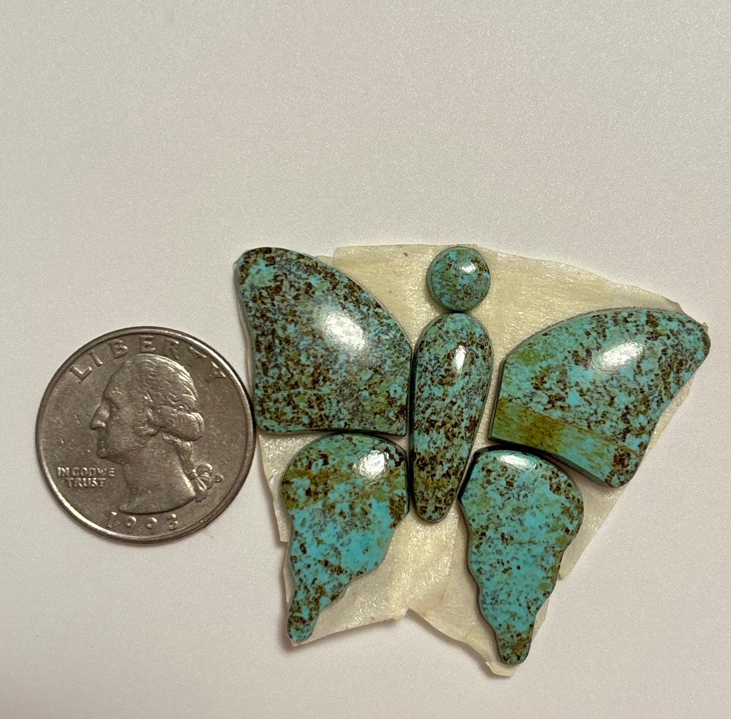 Butterfly Set 7