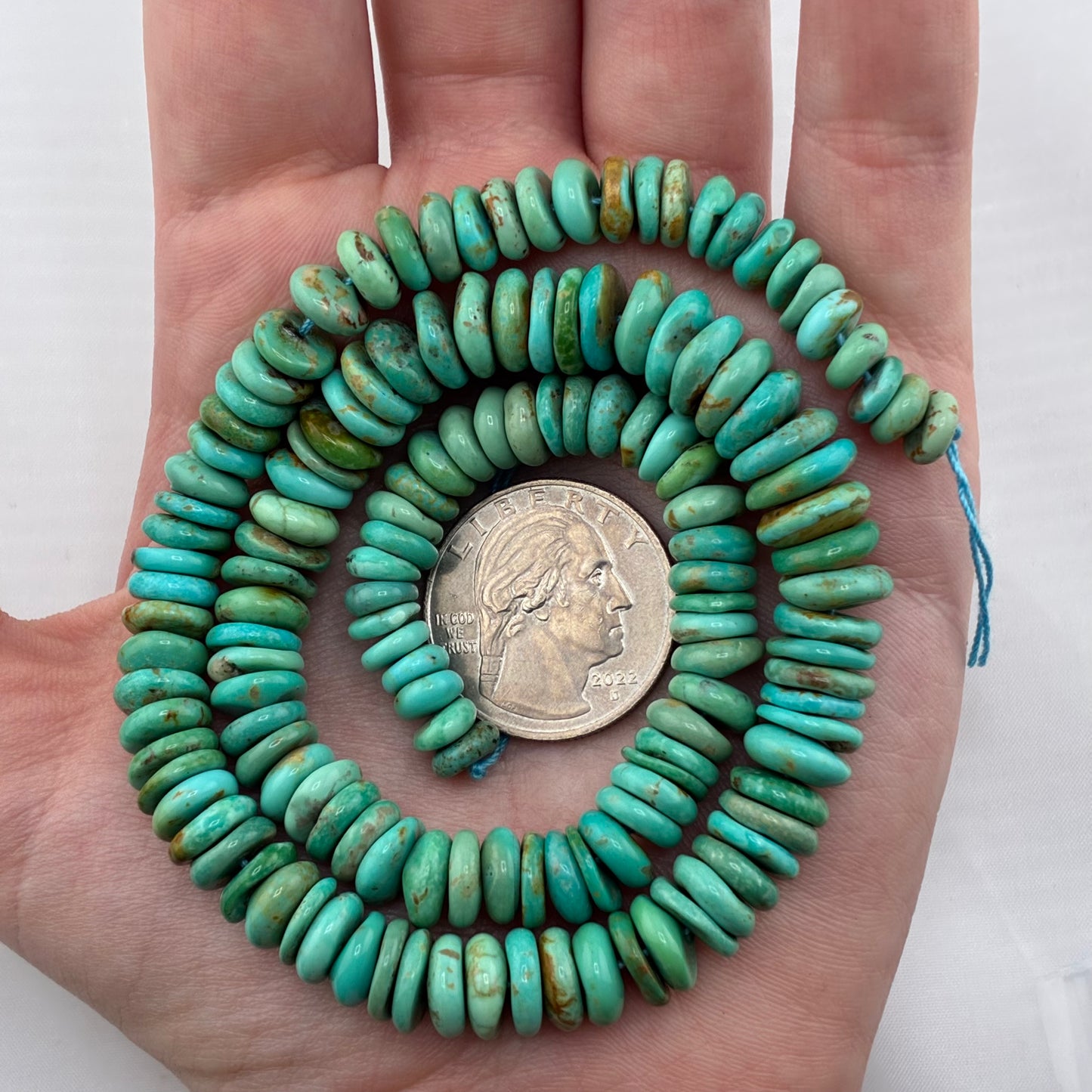 Graduated Saucer Strand